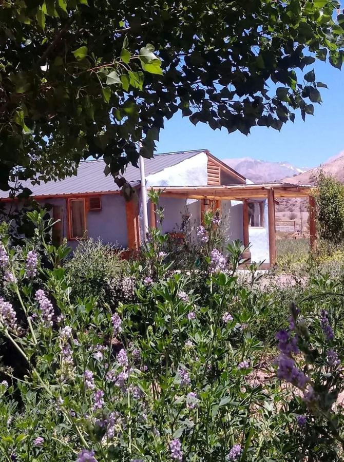 Valle Del Cielo Uspallata Exterior photo